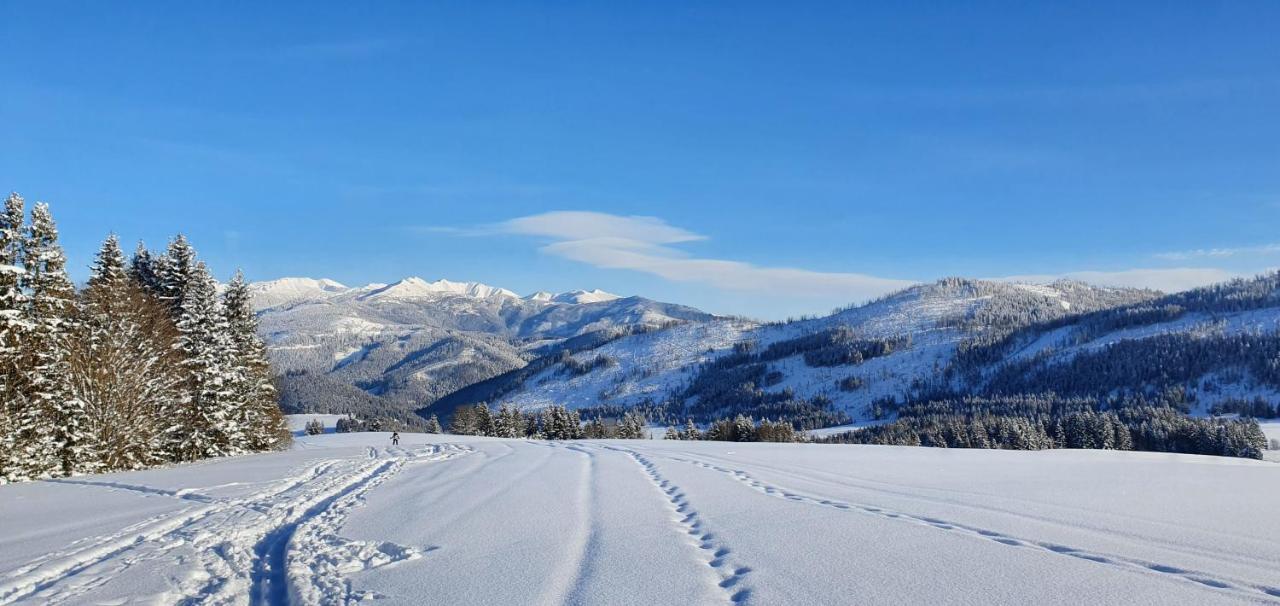 Velke Borove Drevenica Borovianka 빌라 외부 사진