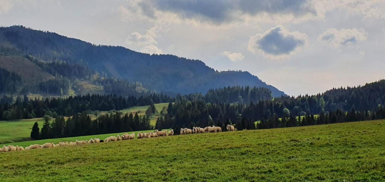 Velke Borove Drevenica Borovianka 빌라 외부 사진